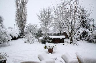 la neige en Décembre 2010