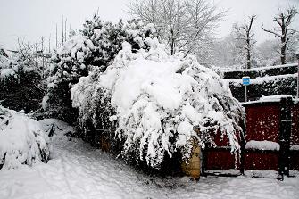 la neige en Décembre 2010